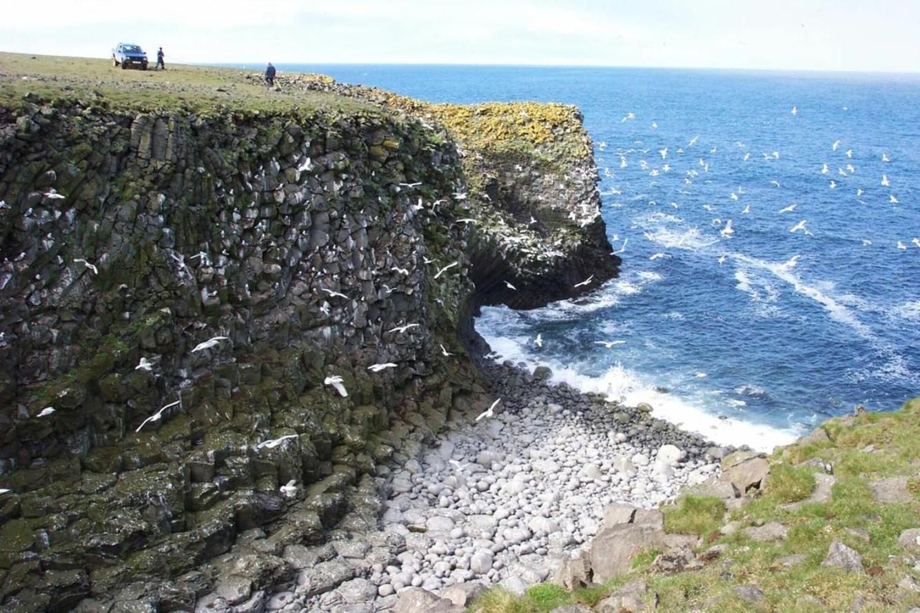 Guesthouse Lyngholt Þórshöfn Eksteriør billede
